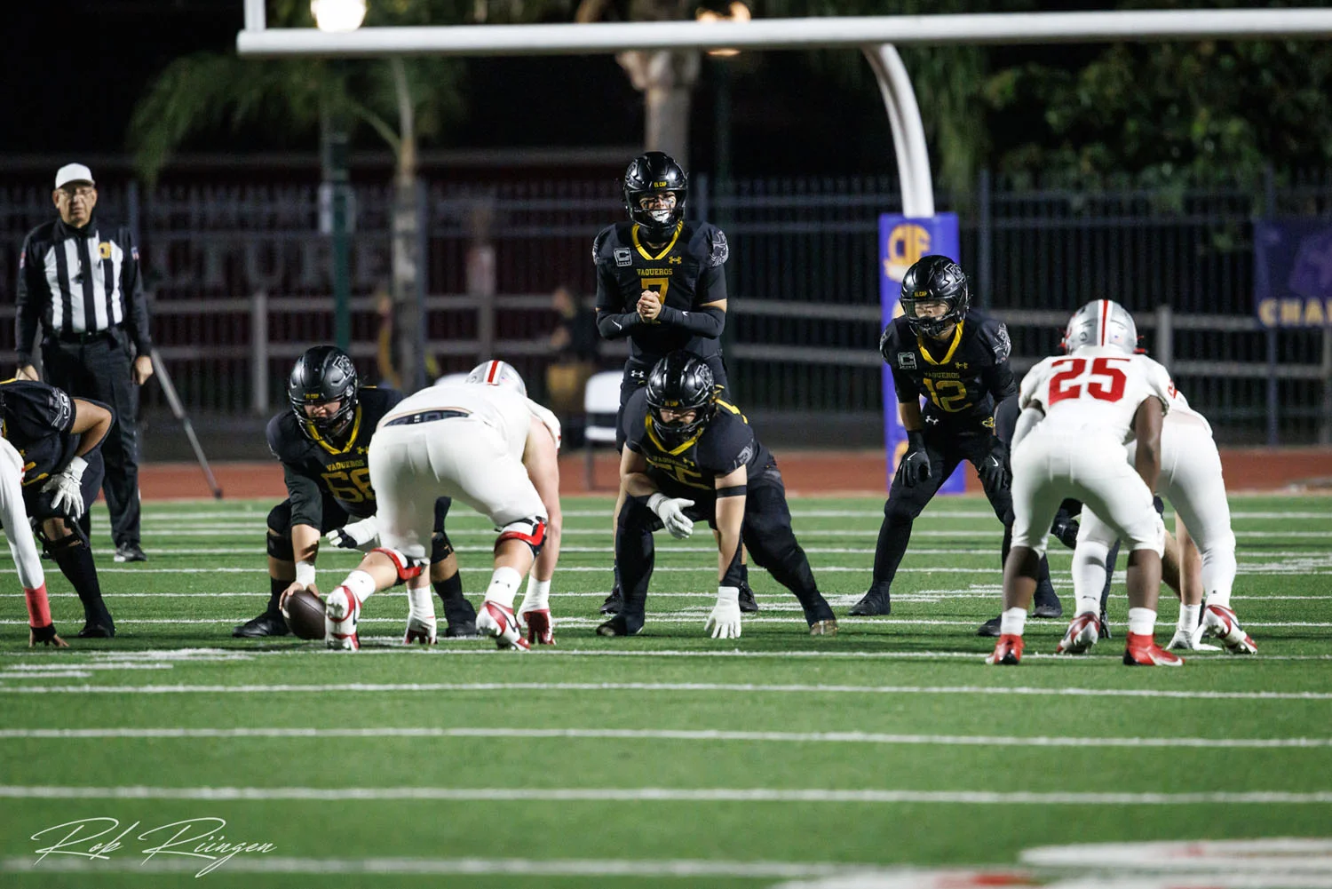 QB looking over the defense